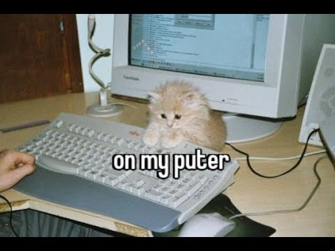 Puter meme
